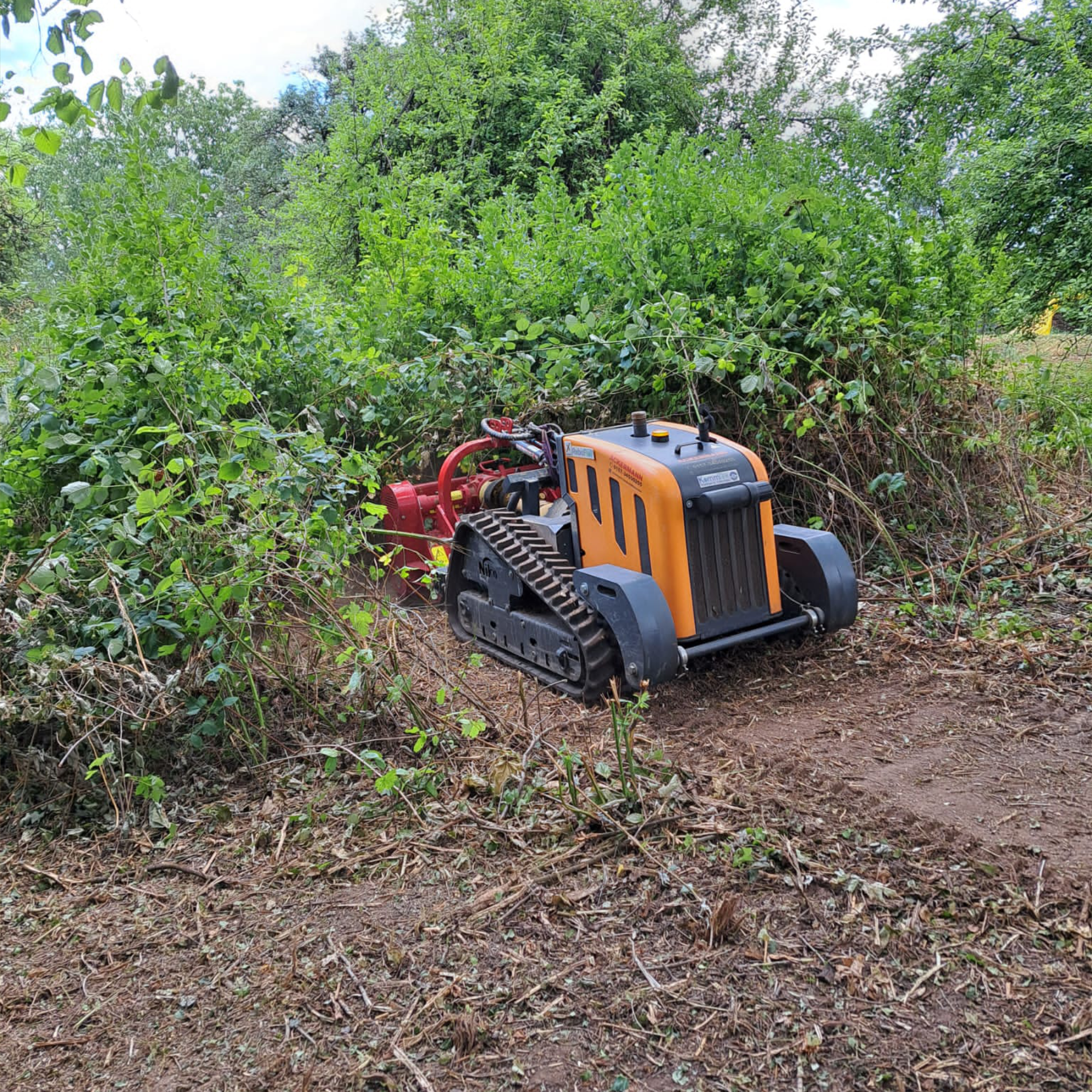 Mulcher im Hangbereich